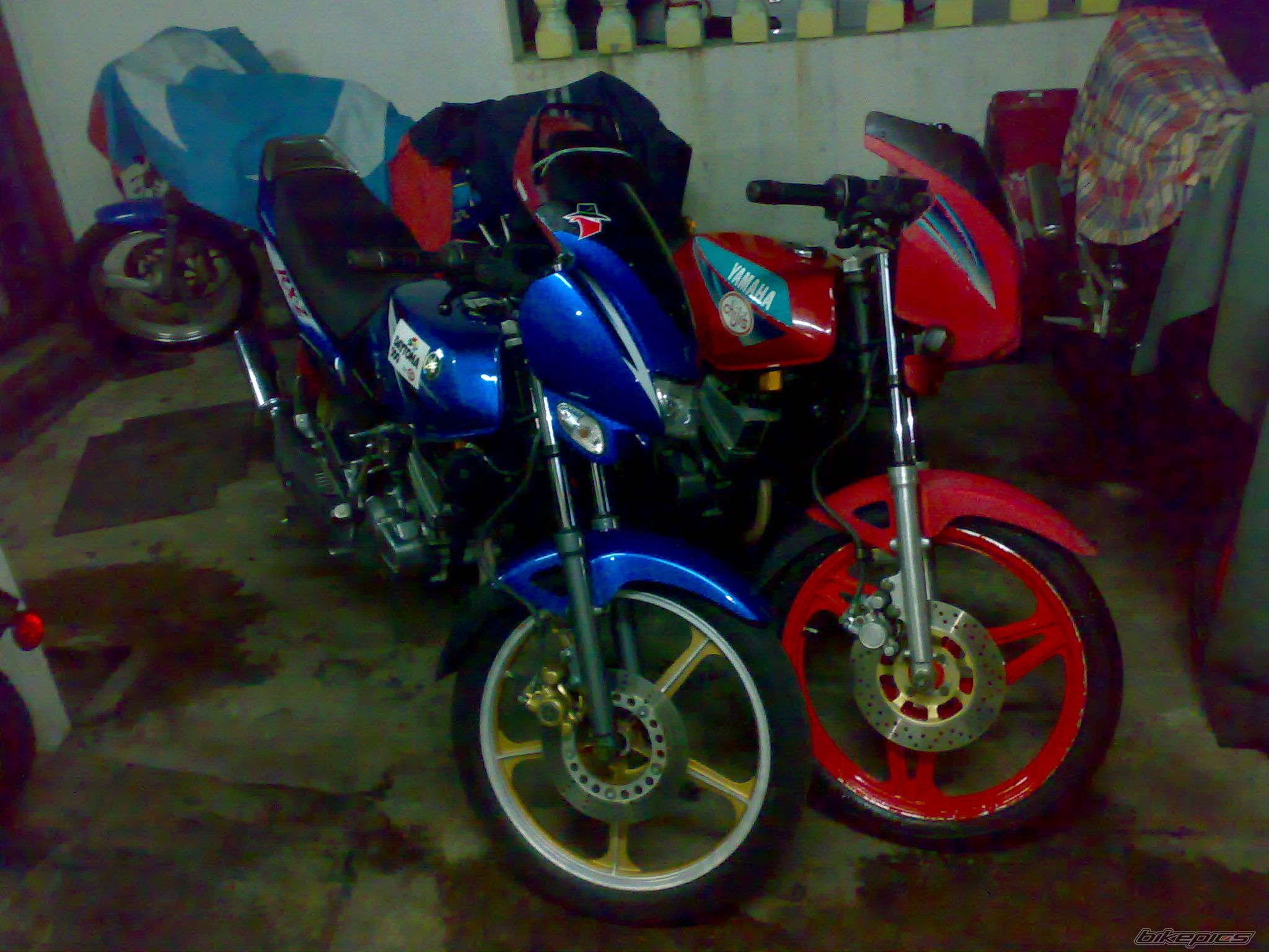 Photo 1353930
