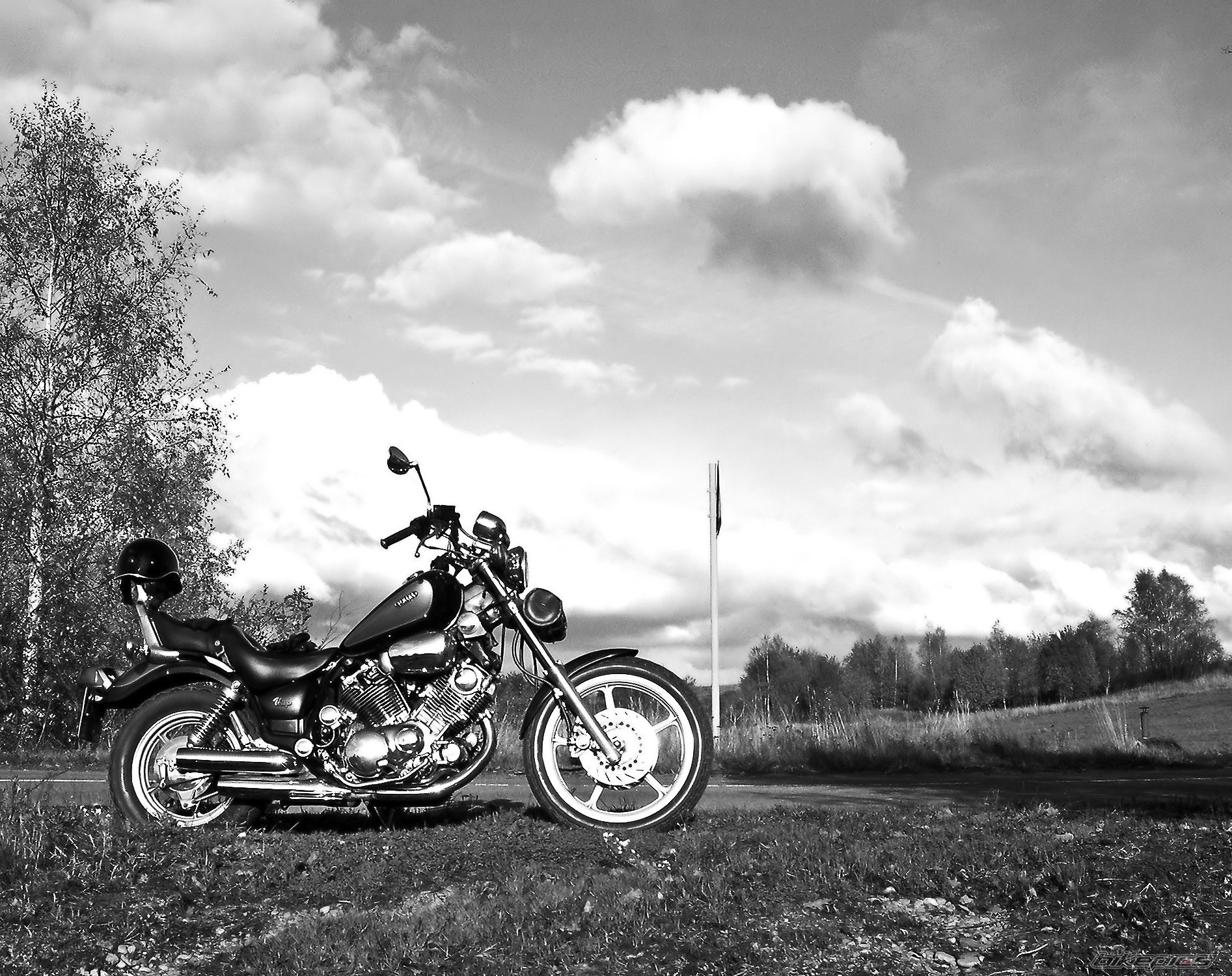 Photo 1354104