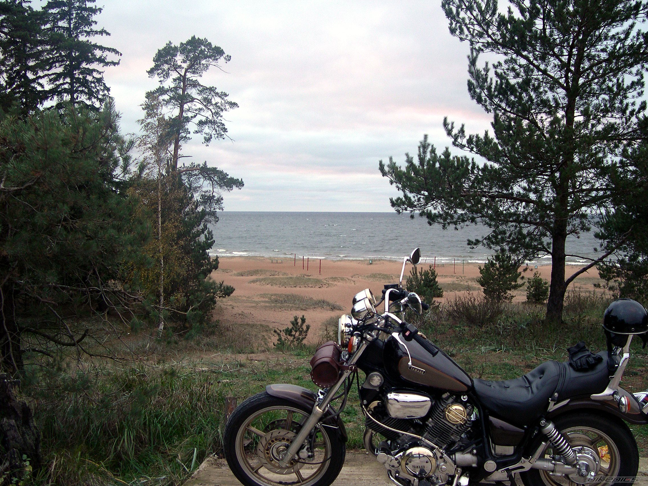 Photo 1354109