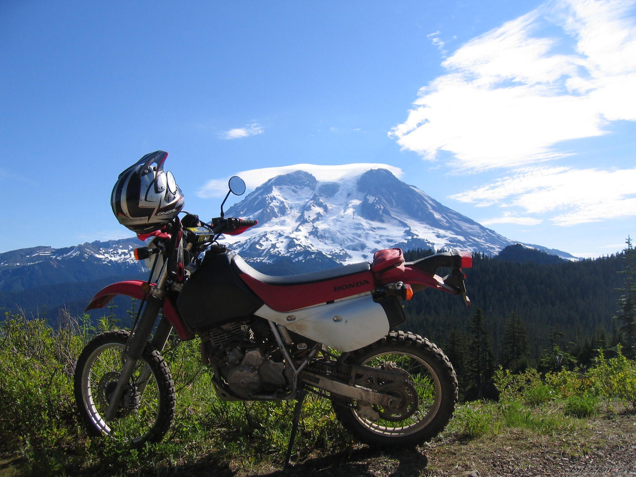 Photo 1354122
