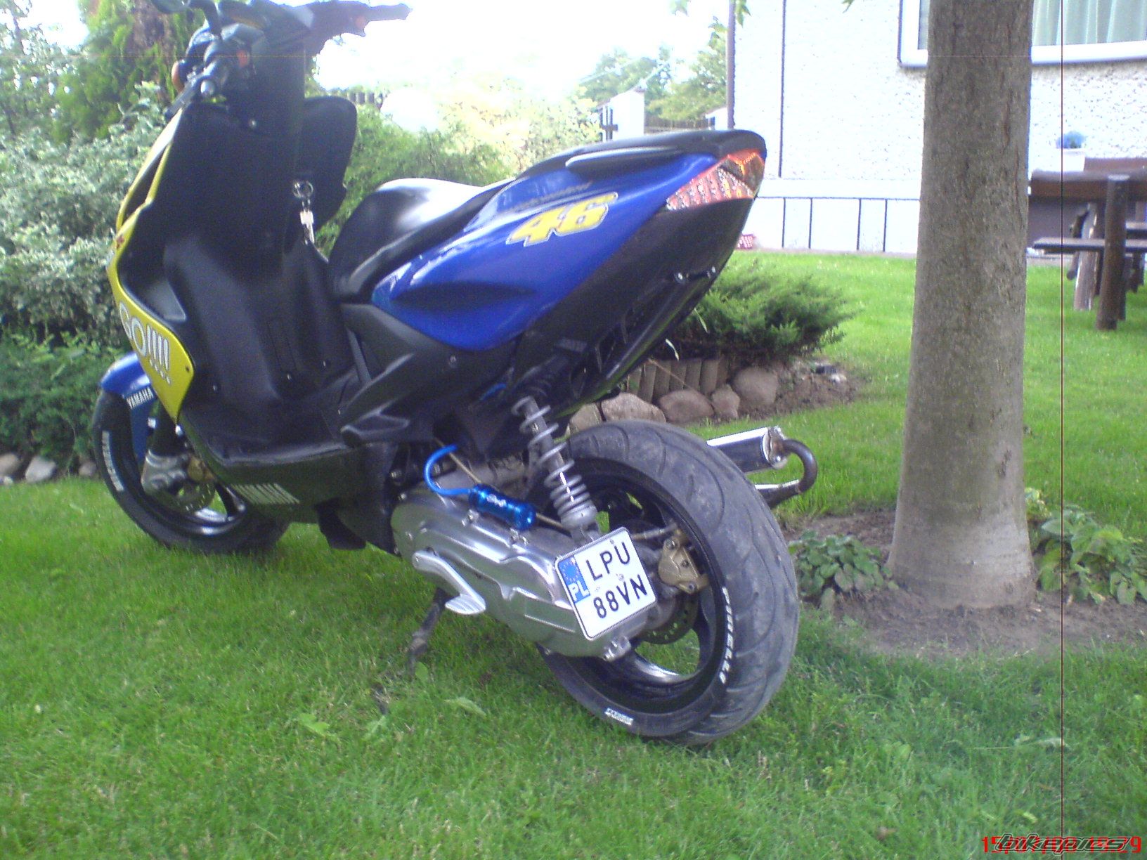Photo 1354158