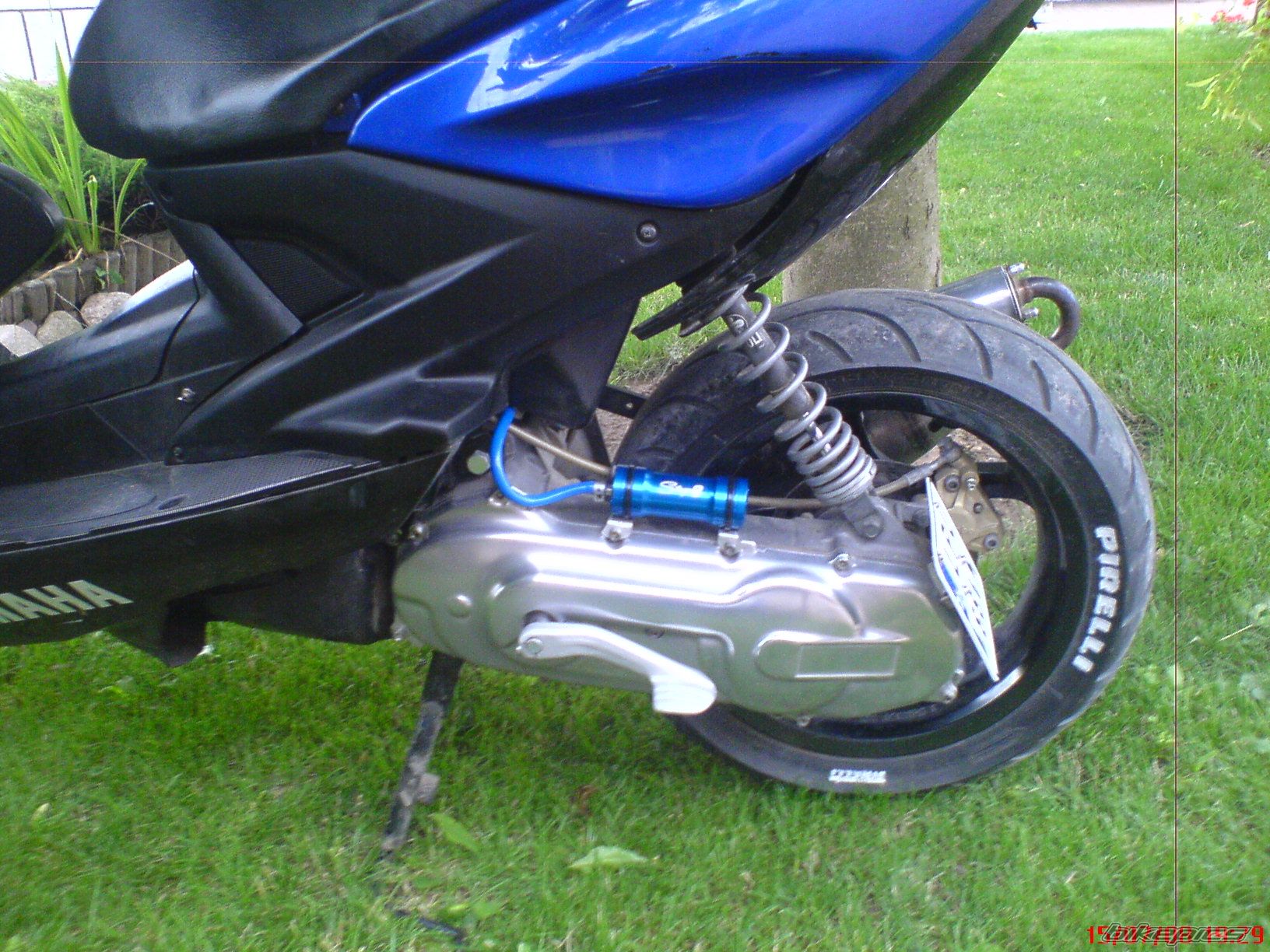 Photo 1354159