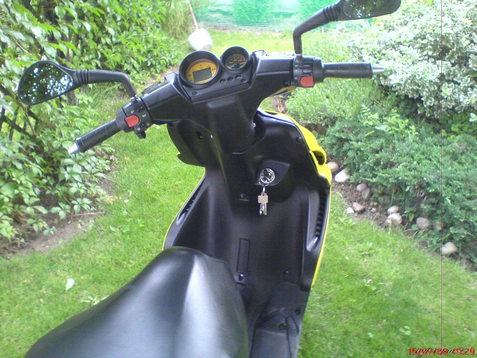 Photo 1354161