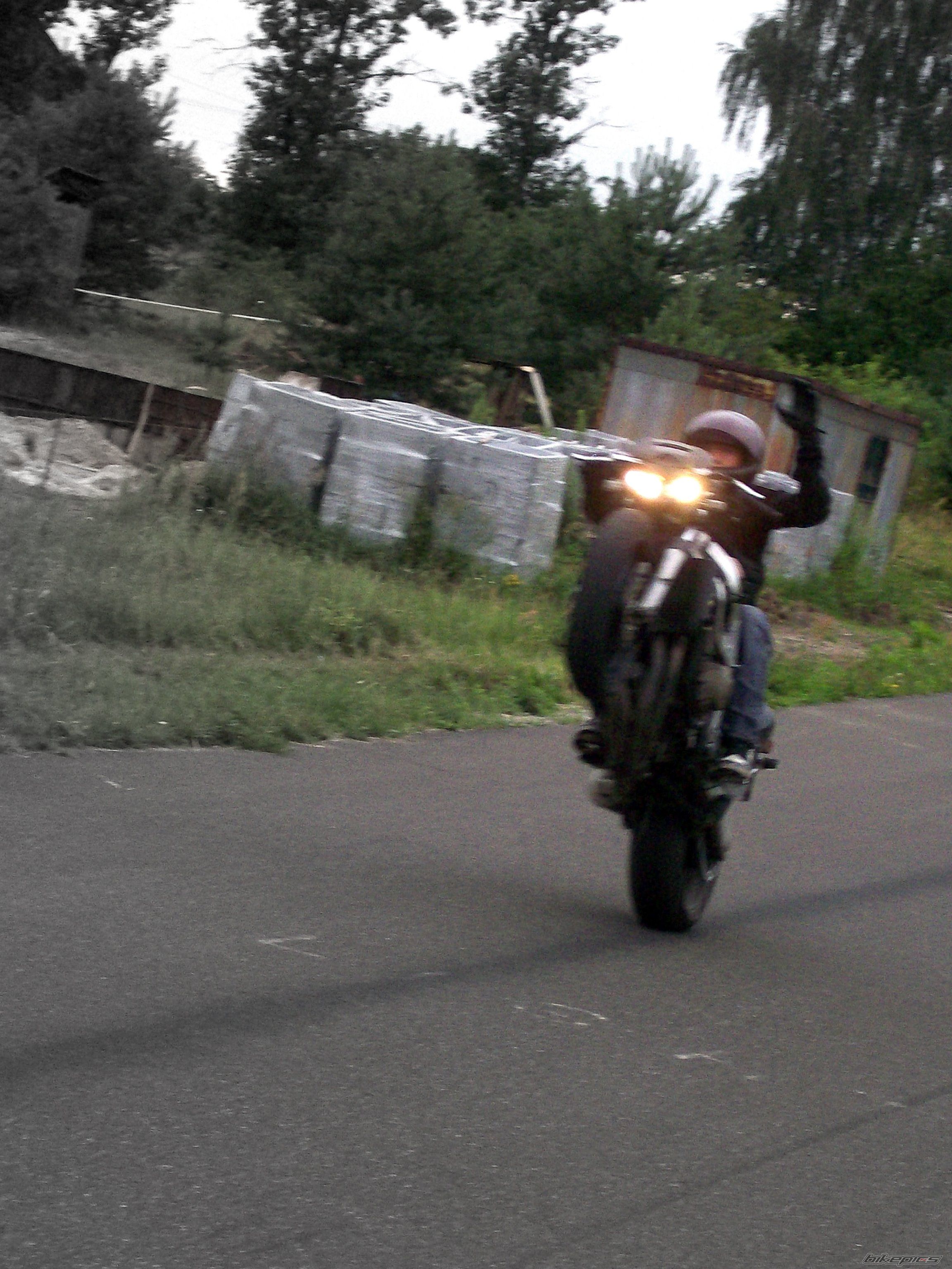 Photo 1354201