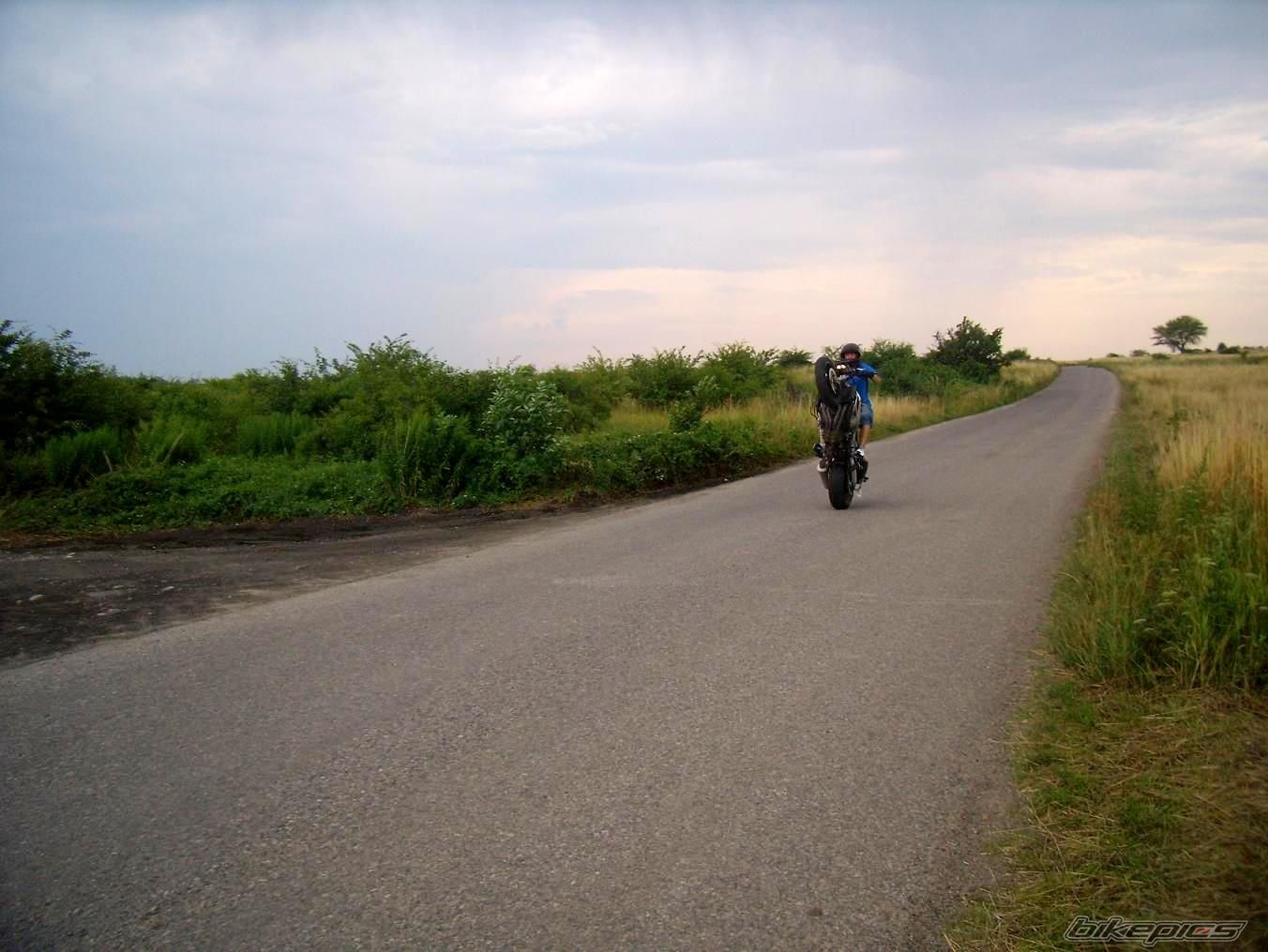 Photo 1354205