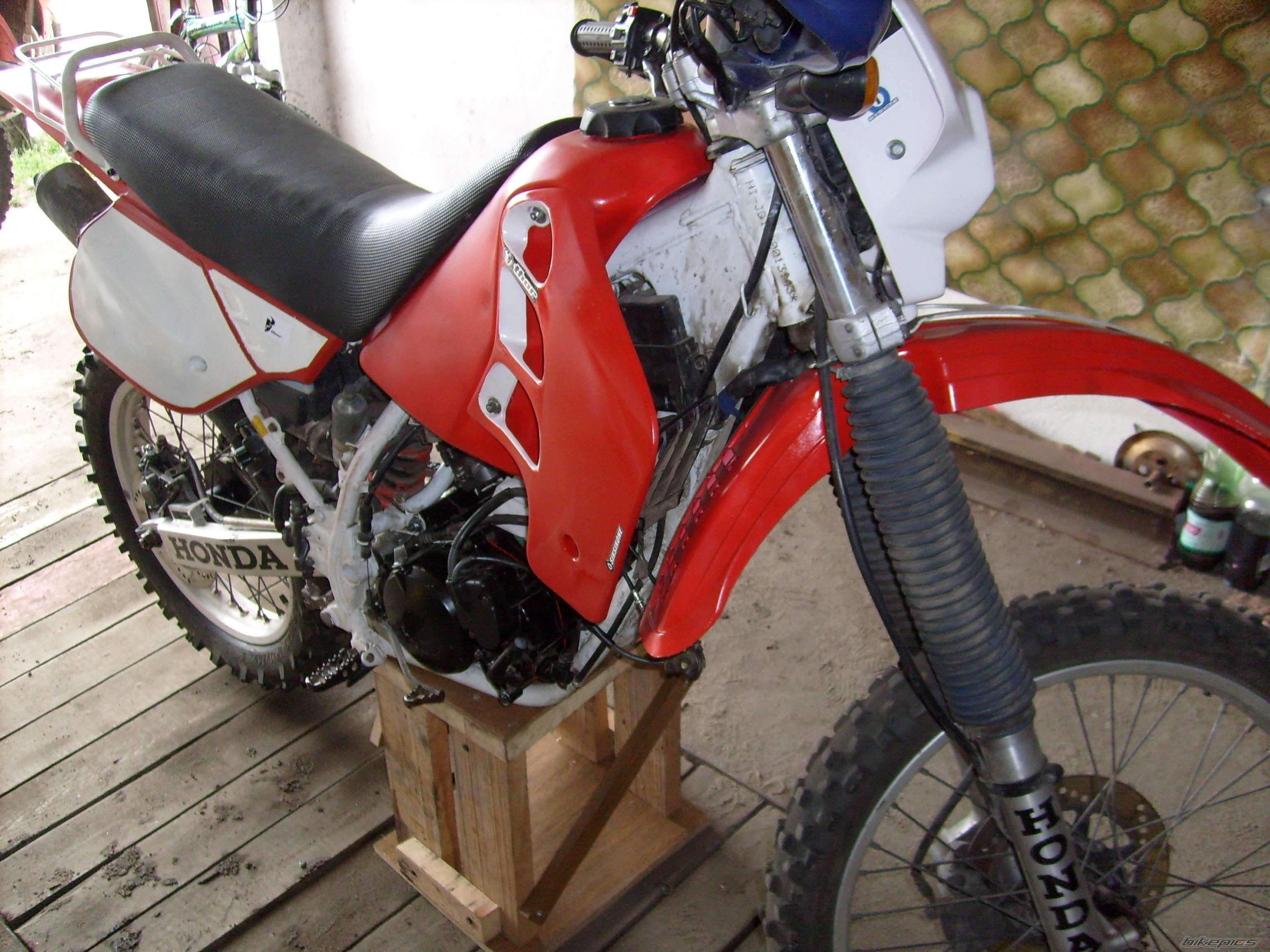 Photo 1354207