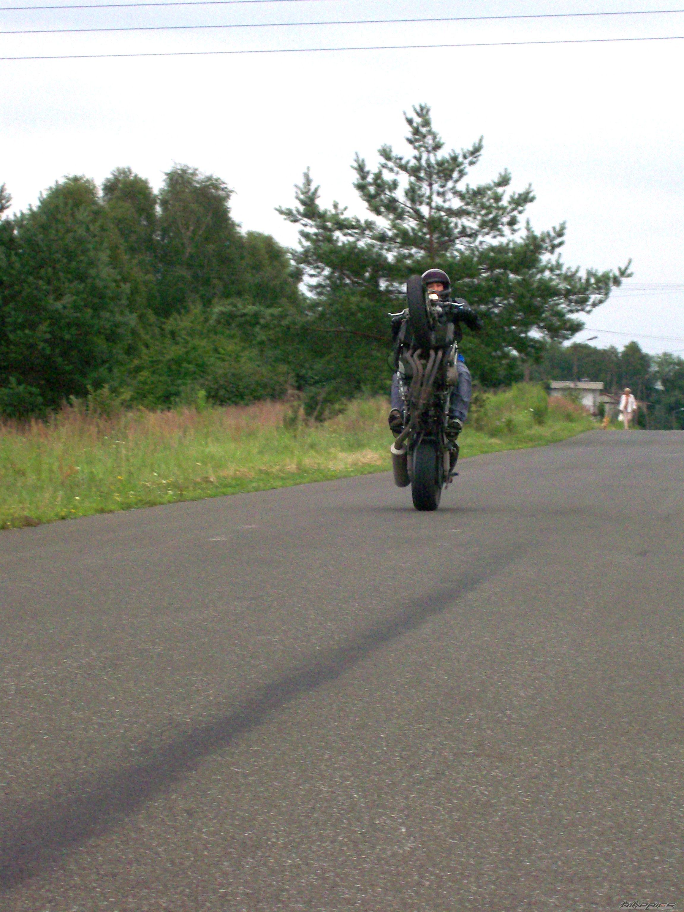 Photo 1354210