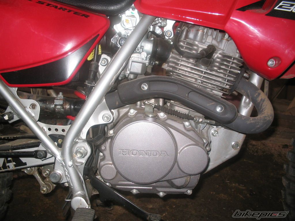 Photo 1354230