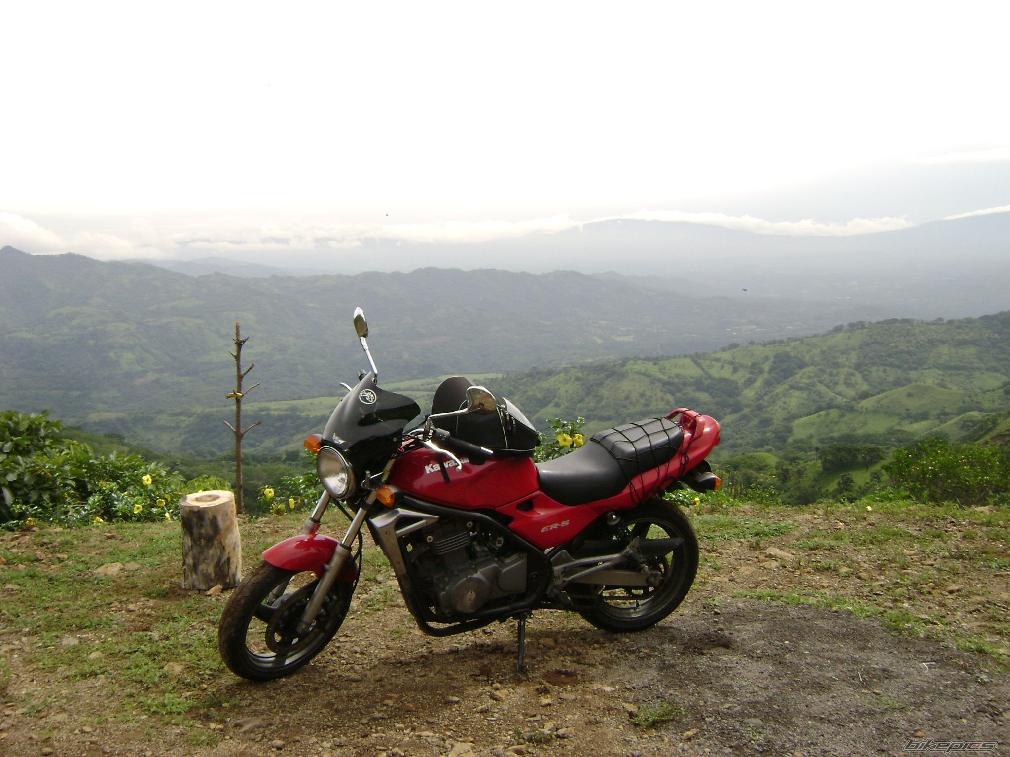 Photo 1354304