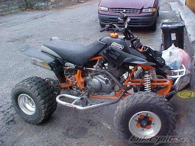 Photo 135431