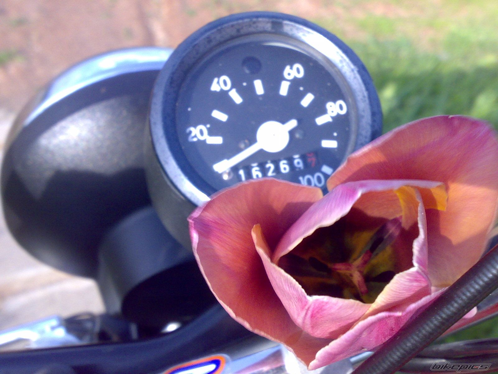 Photo 1354316