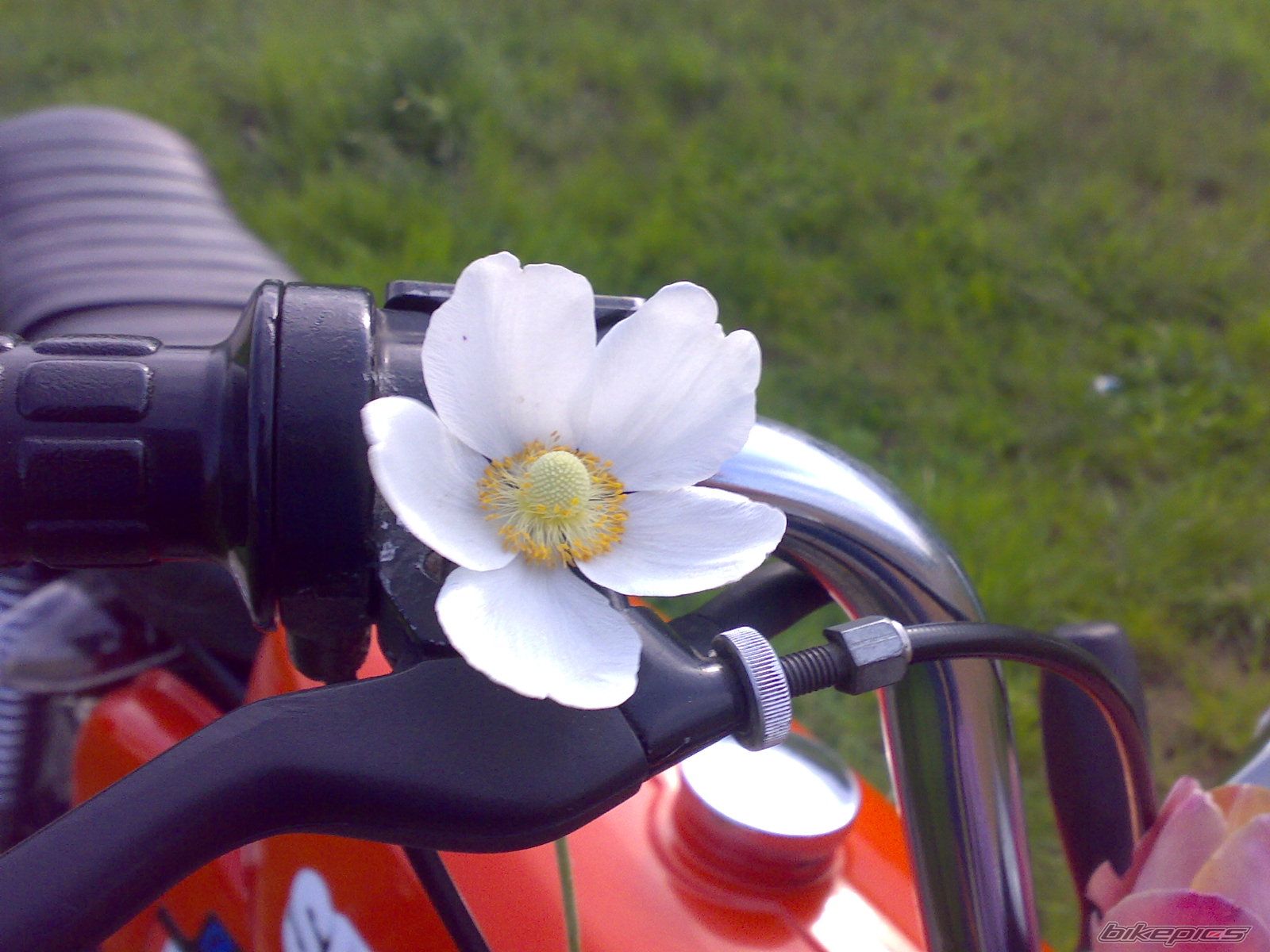 Photo 1354317