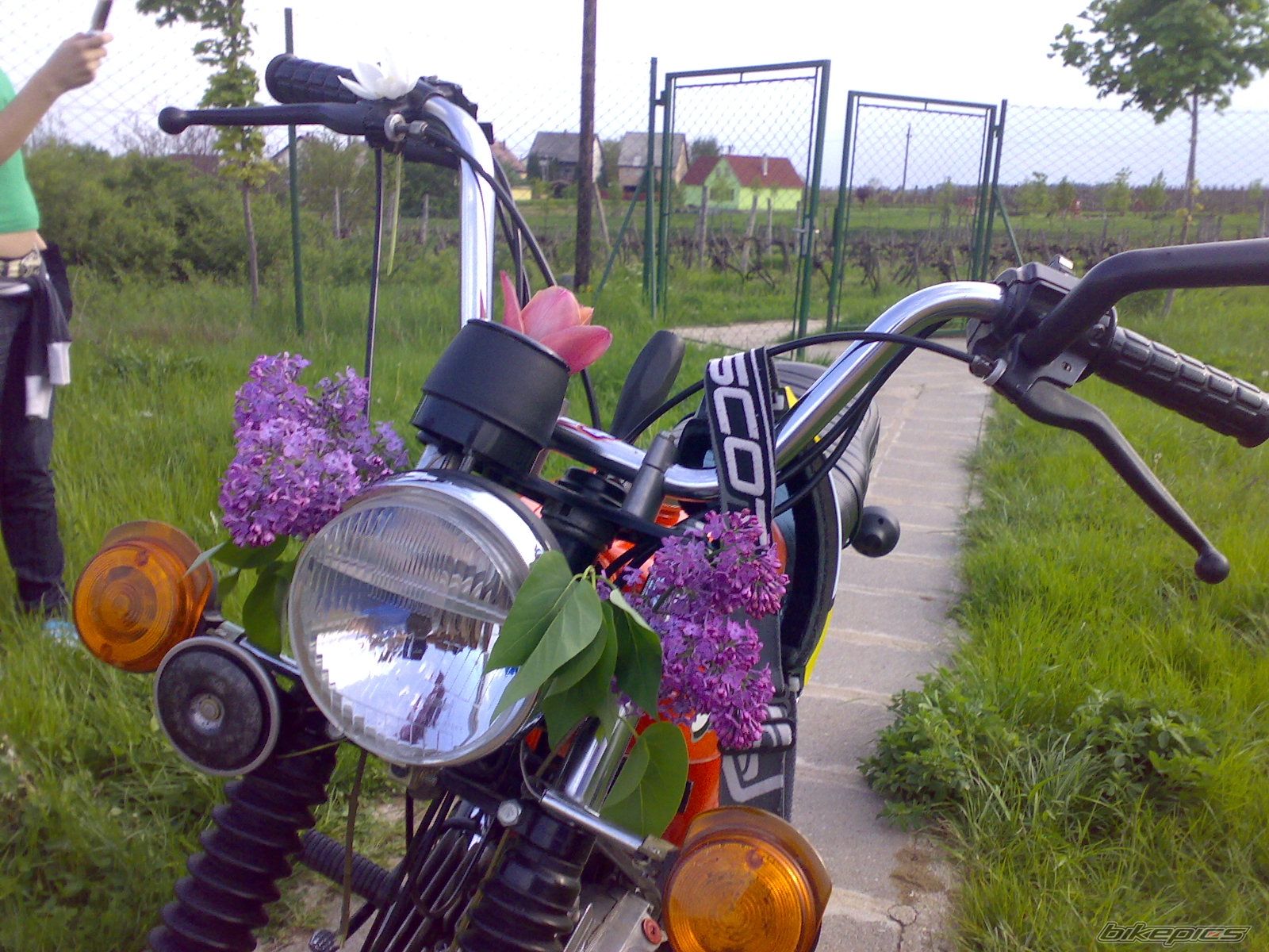 Photo 1354318