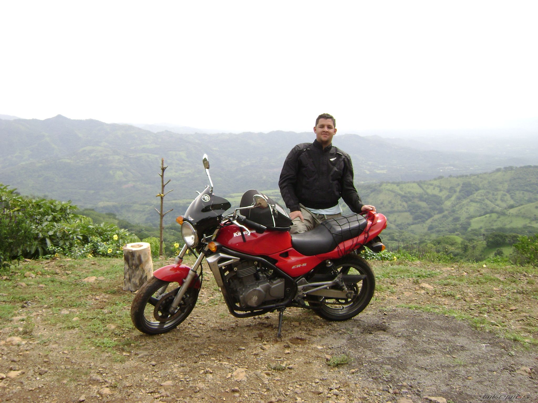 Photo 1354320