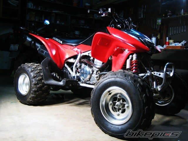 Photo 1354460