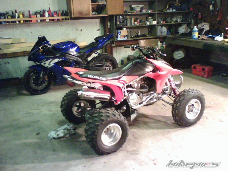Photo 1354462