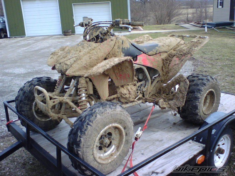 Photo 1354463