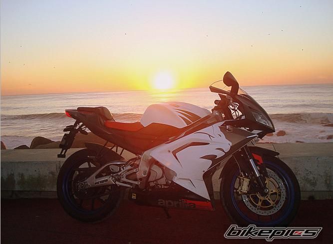 Photo 1354494