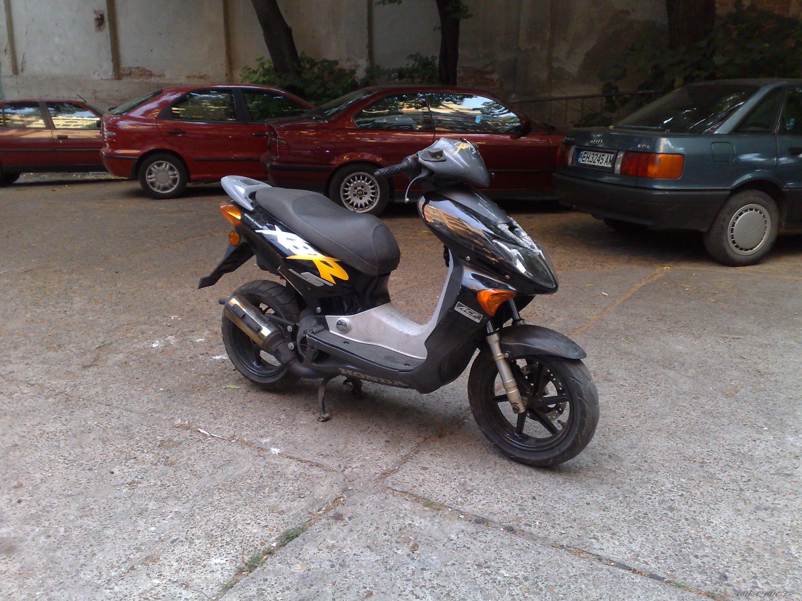 Photo 1354549