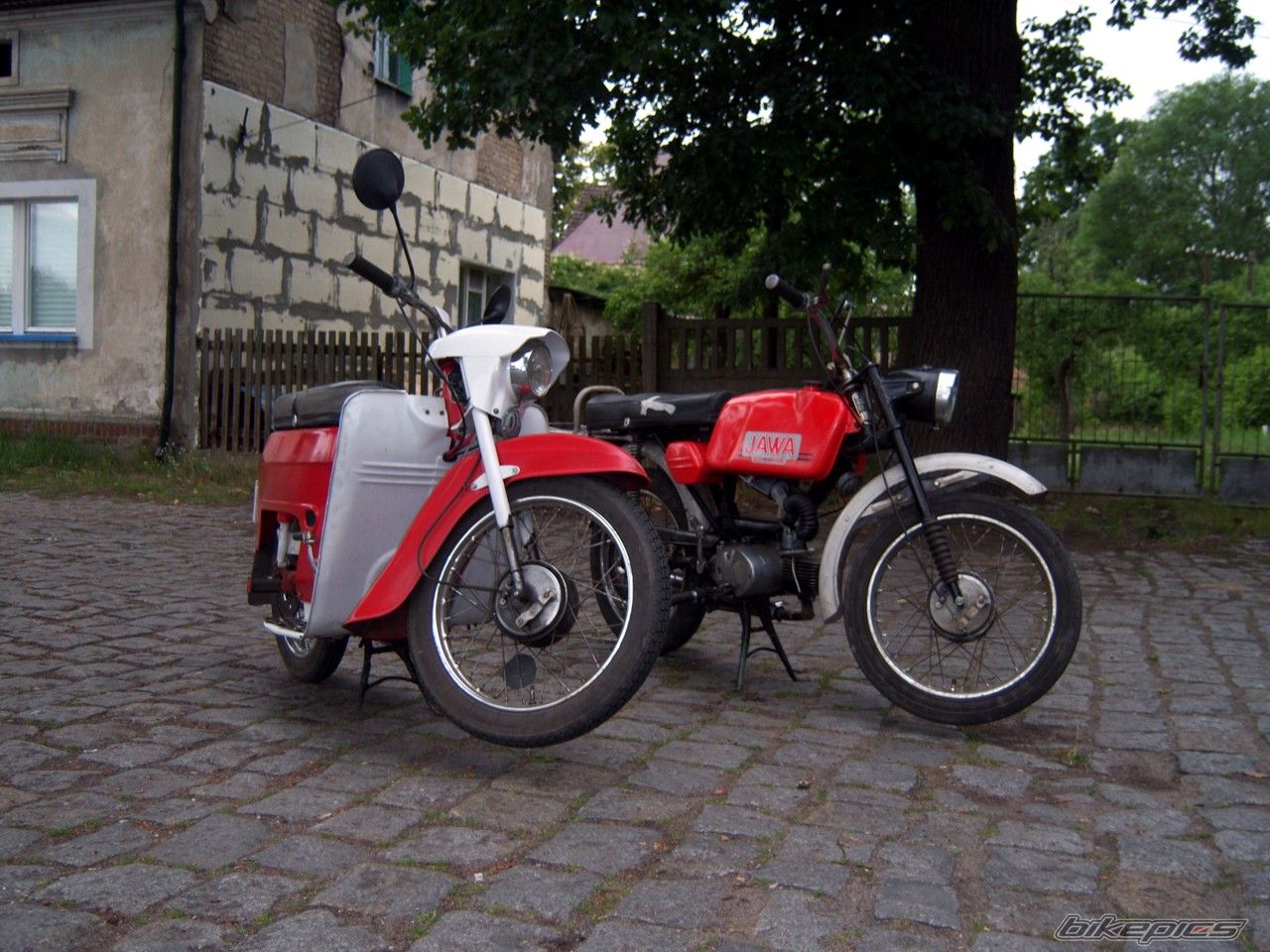 Photo 1354560