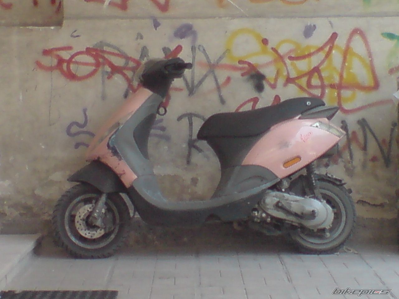 Photo 1354581