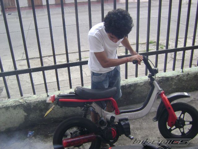 Photo 1354590