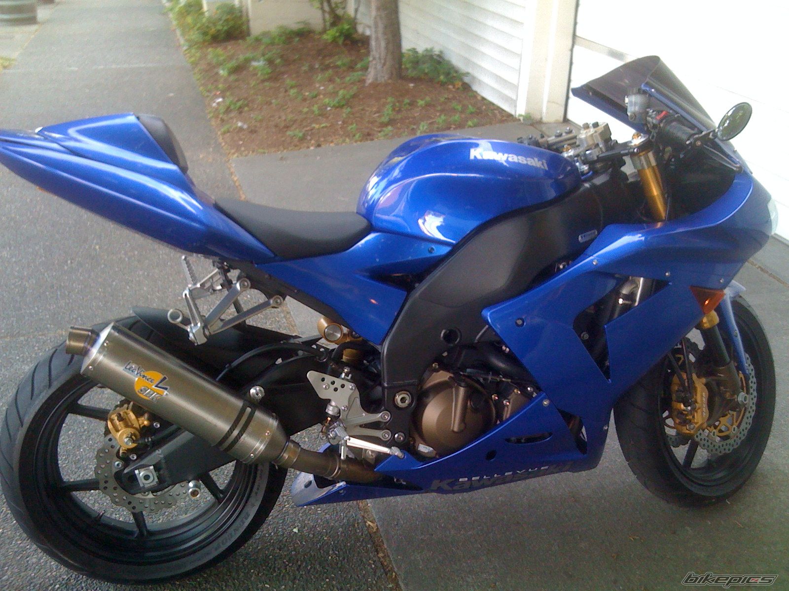 Photo 1354596