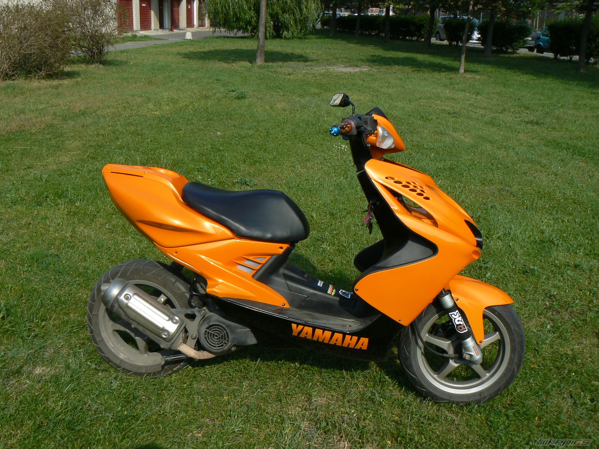 Photo 1354598