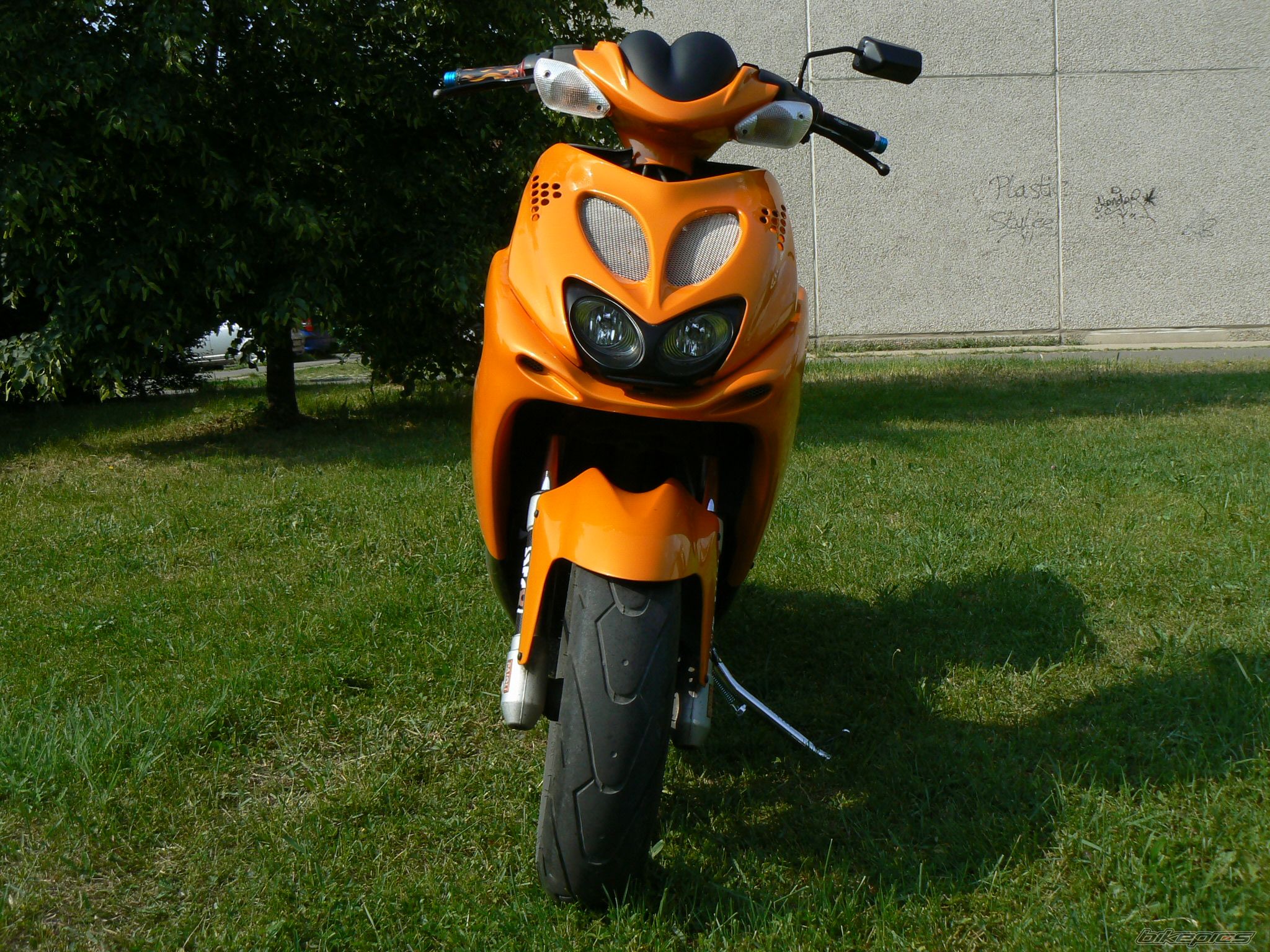 Photo 1354606