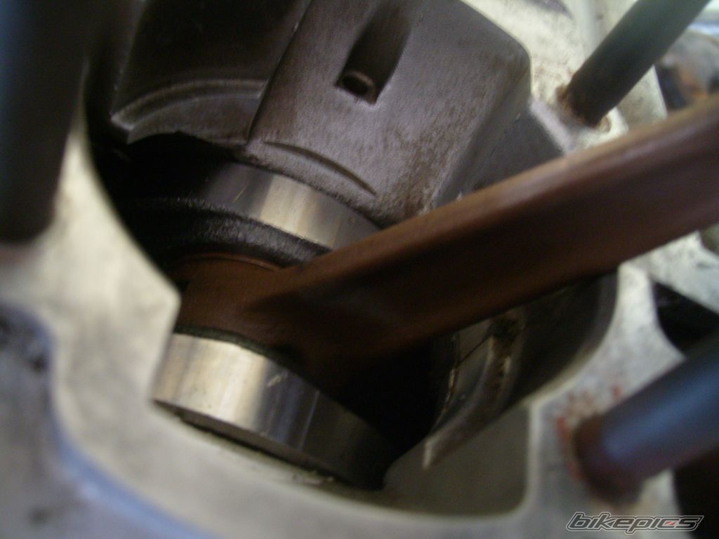 Photo 1354608
