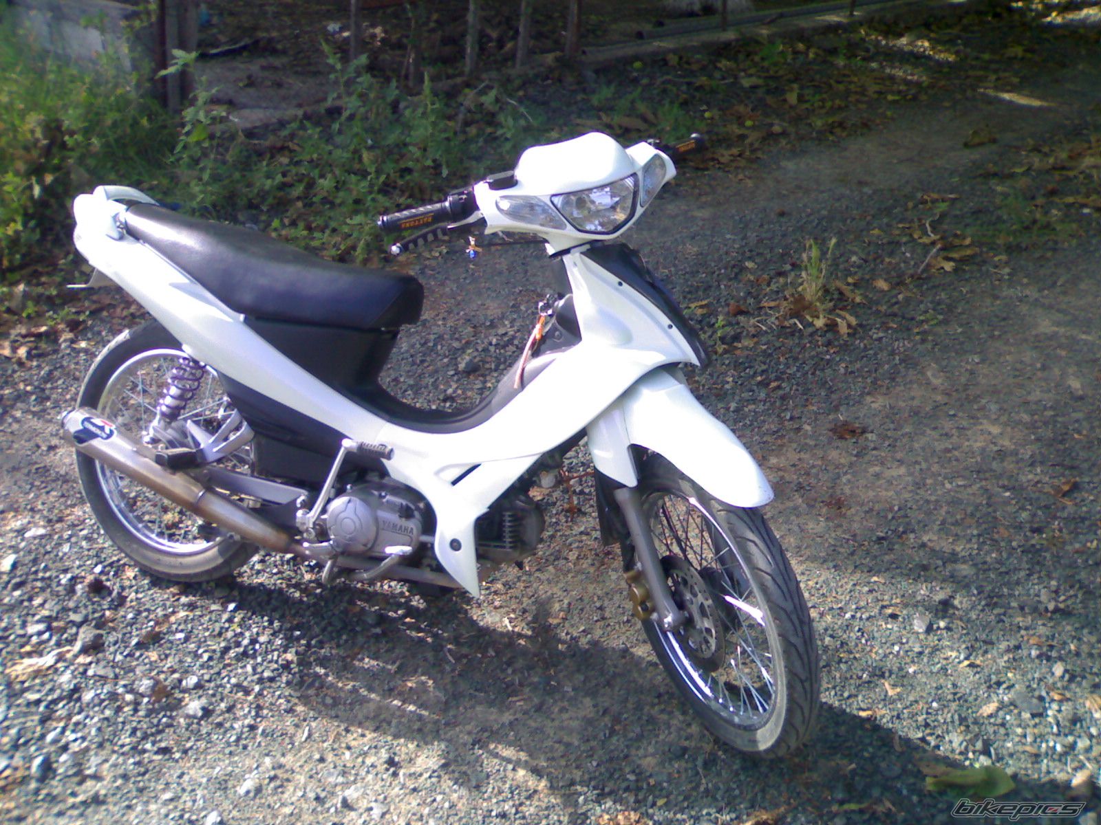 Photo 1354610