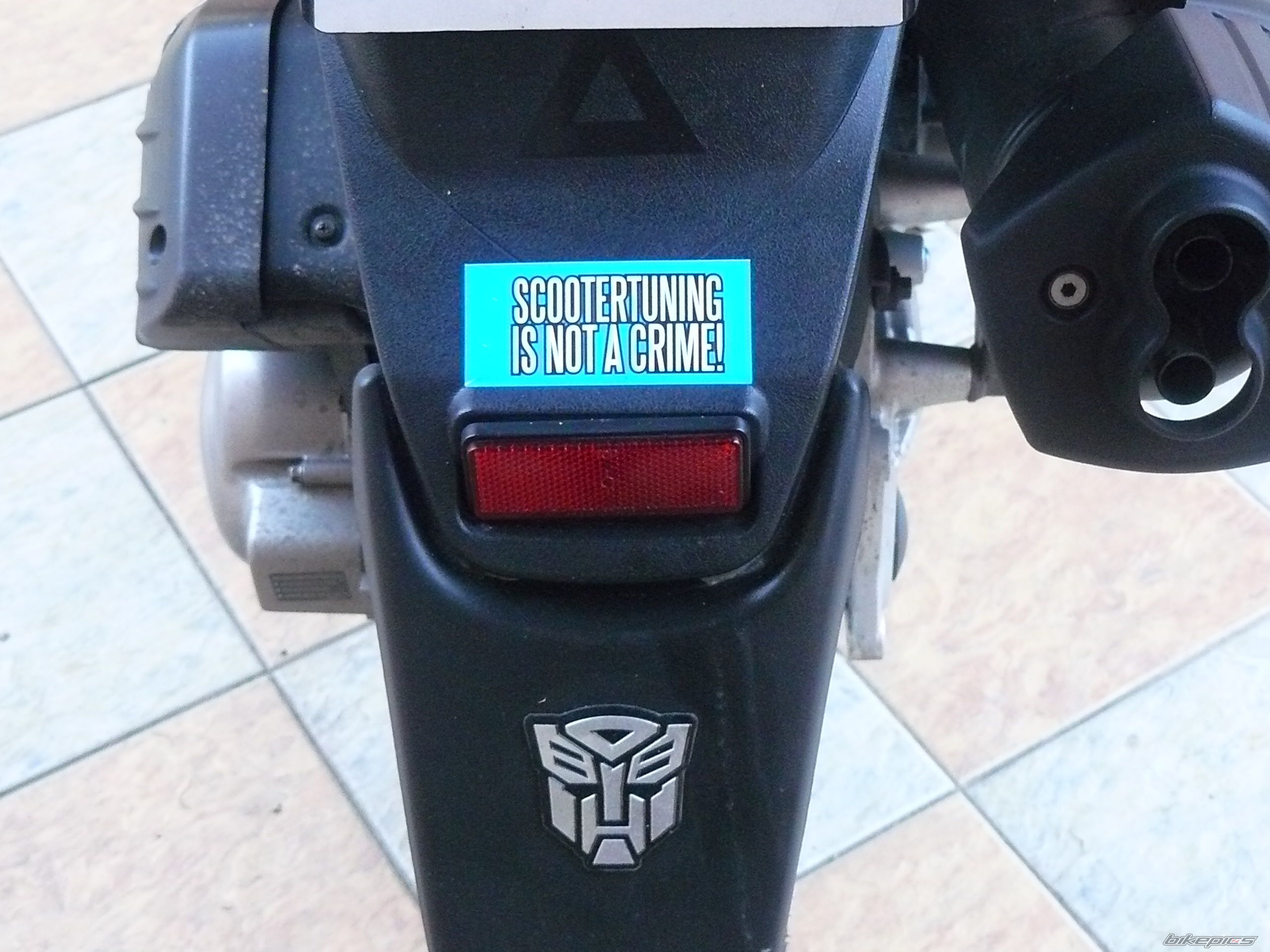 Photo 1354638