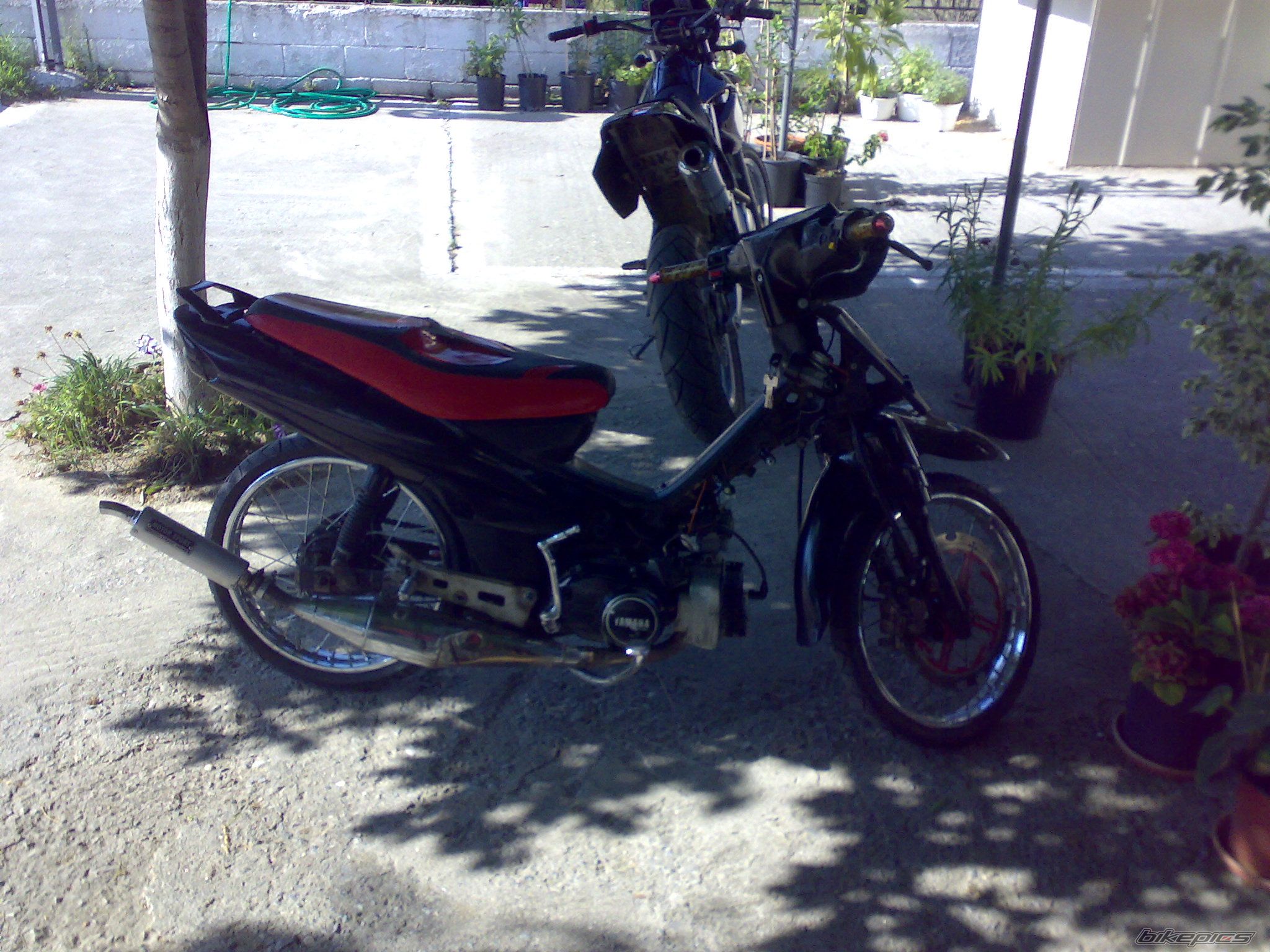 Photo 1354643