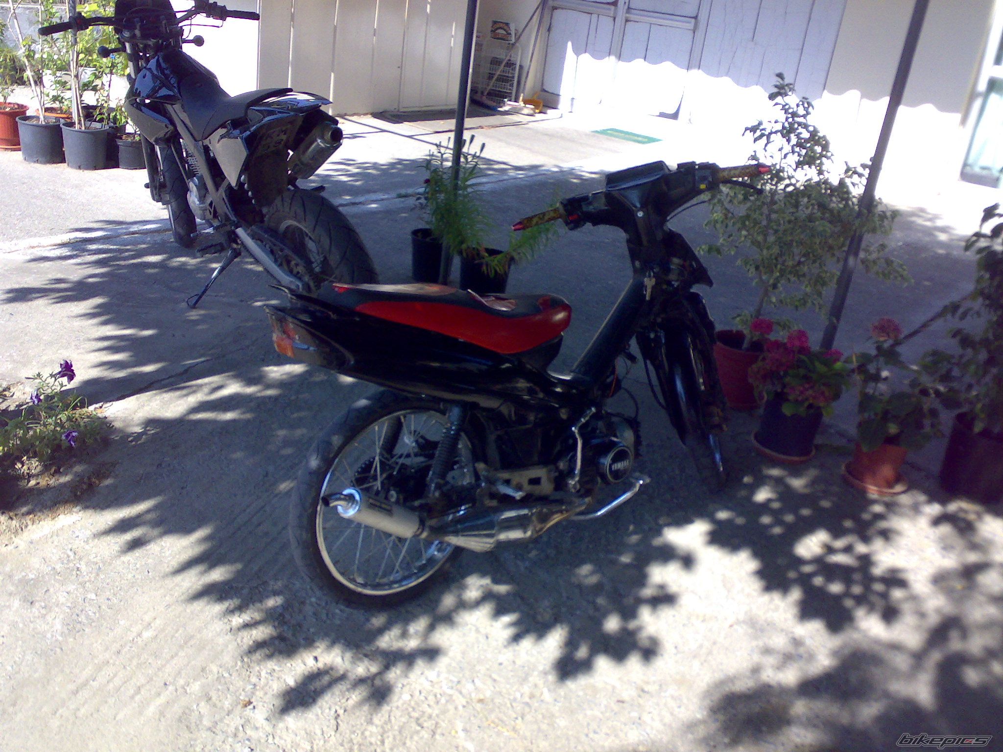 Bike Photo 1354644
