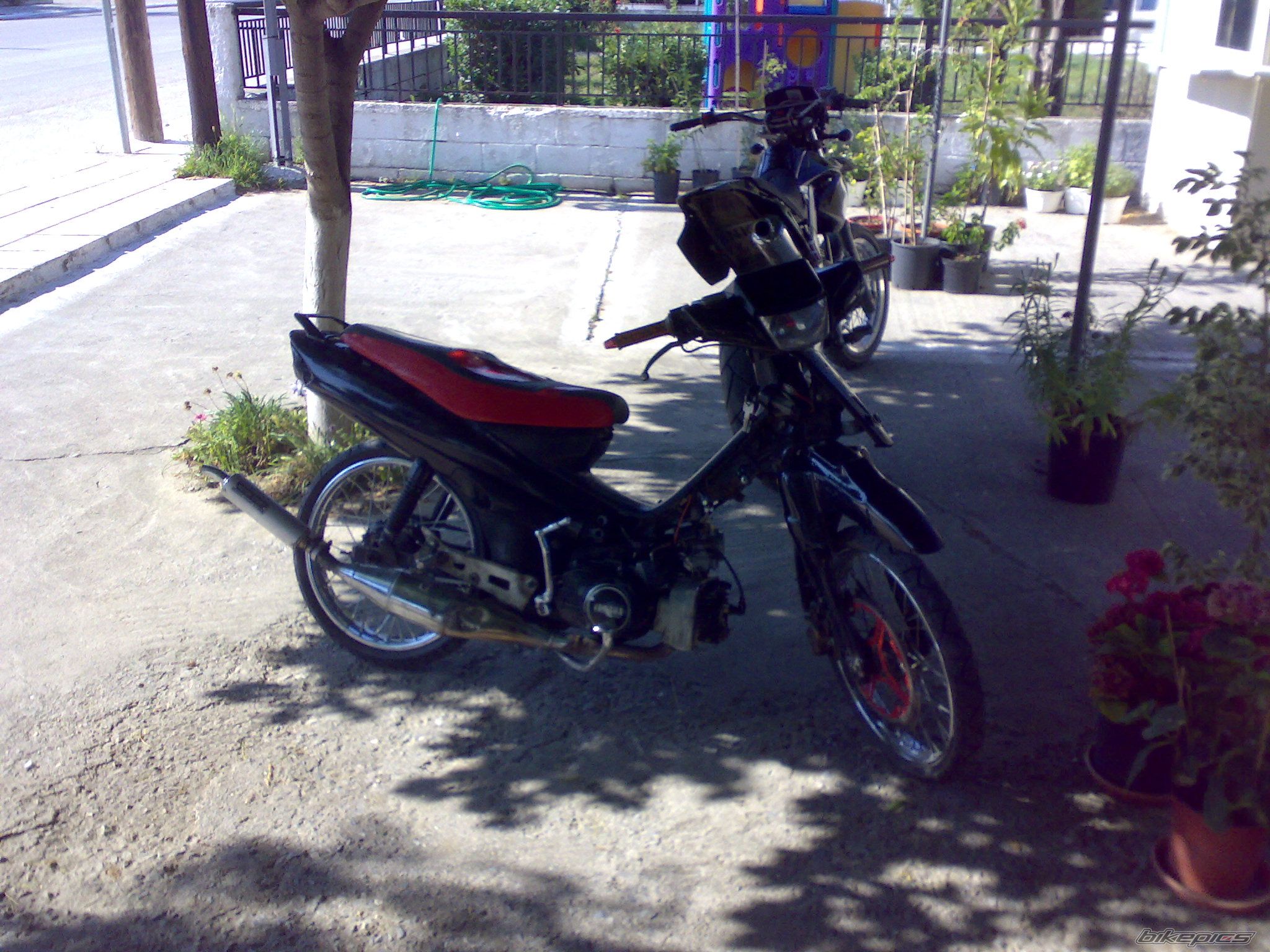 Photo 1354646