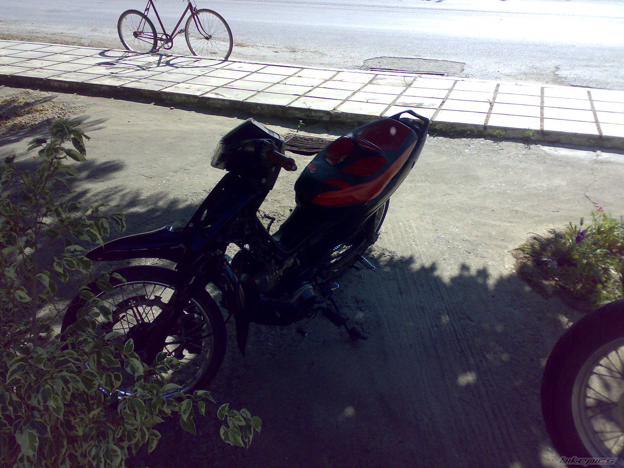 Photo 1354648