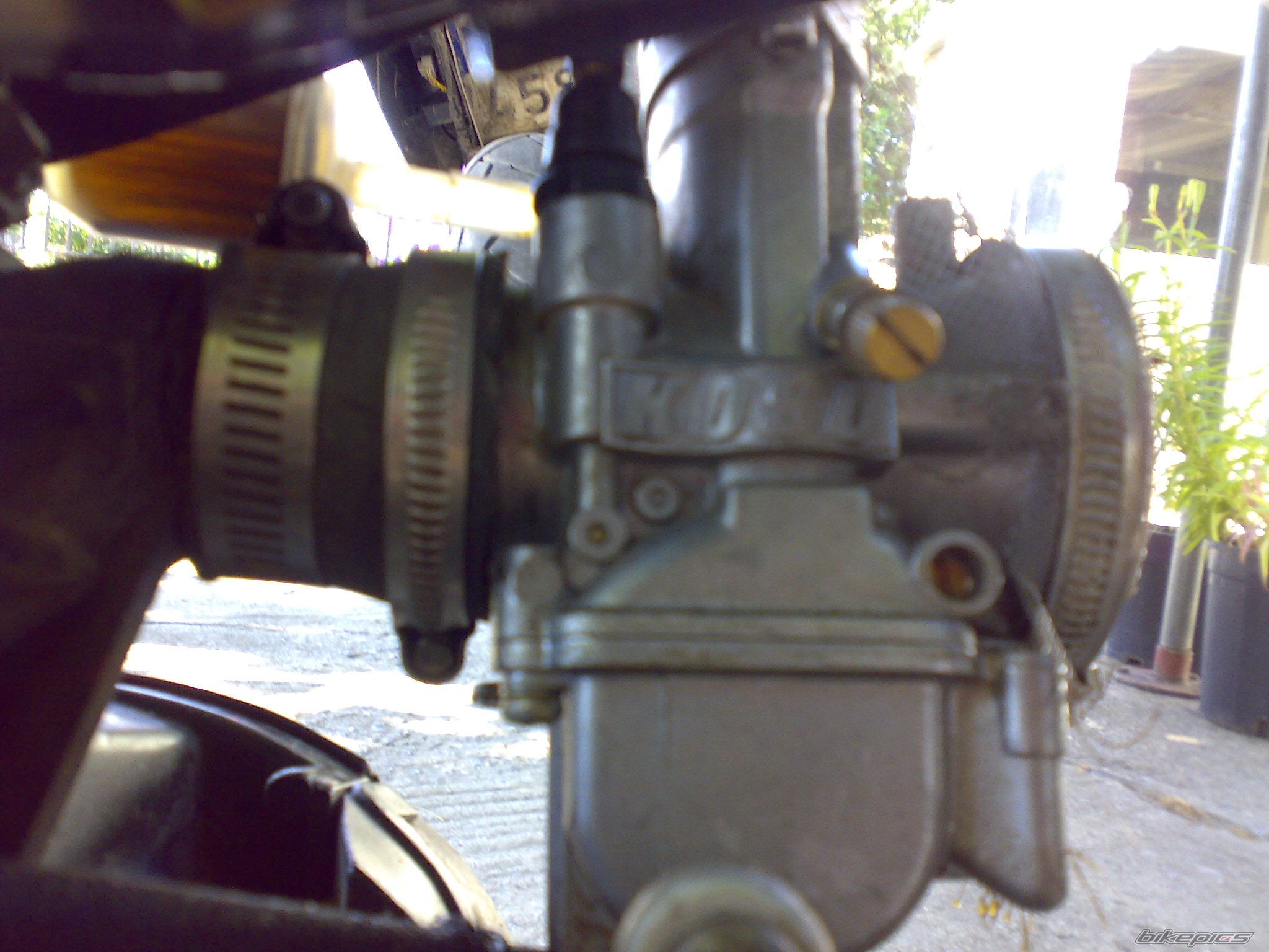Photo 1354651