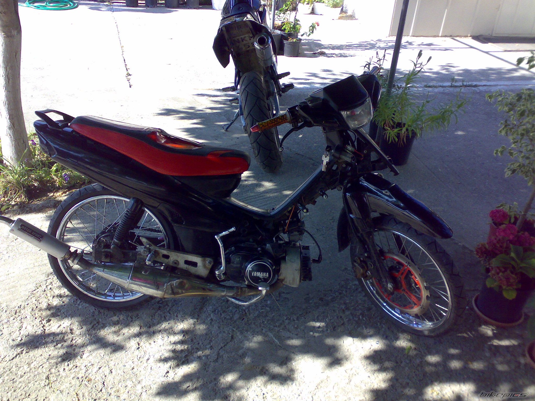 Photo 1354652
