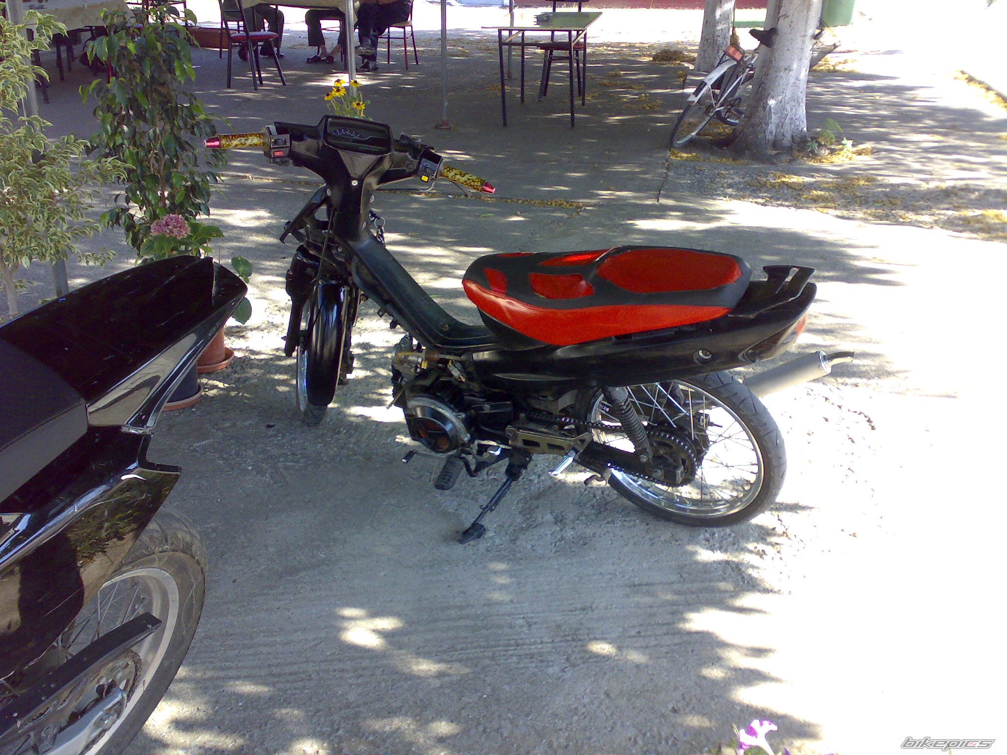 Photo 1354654