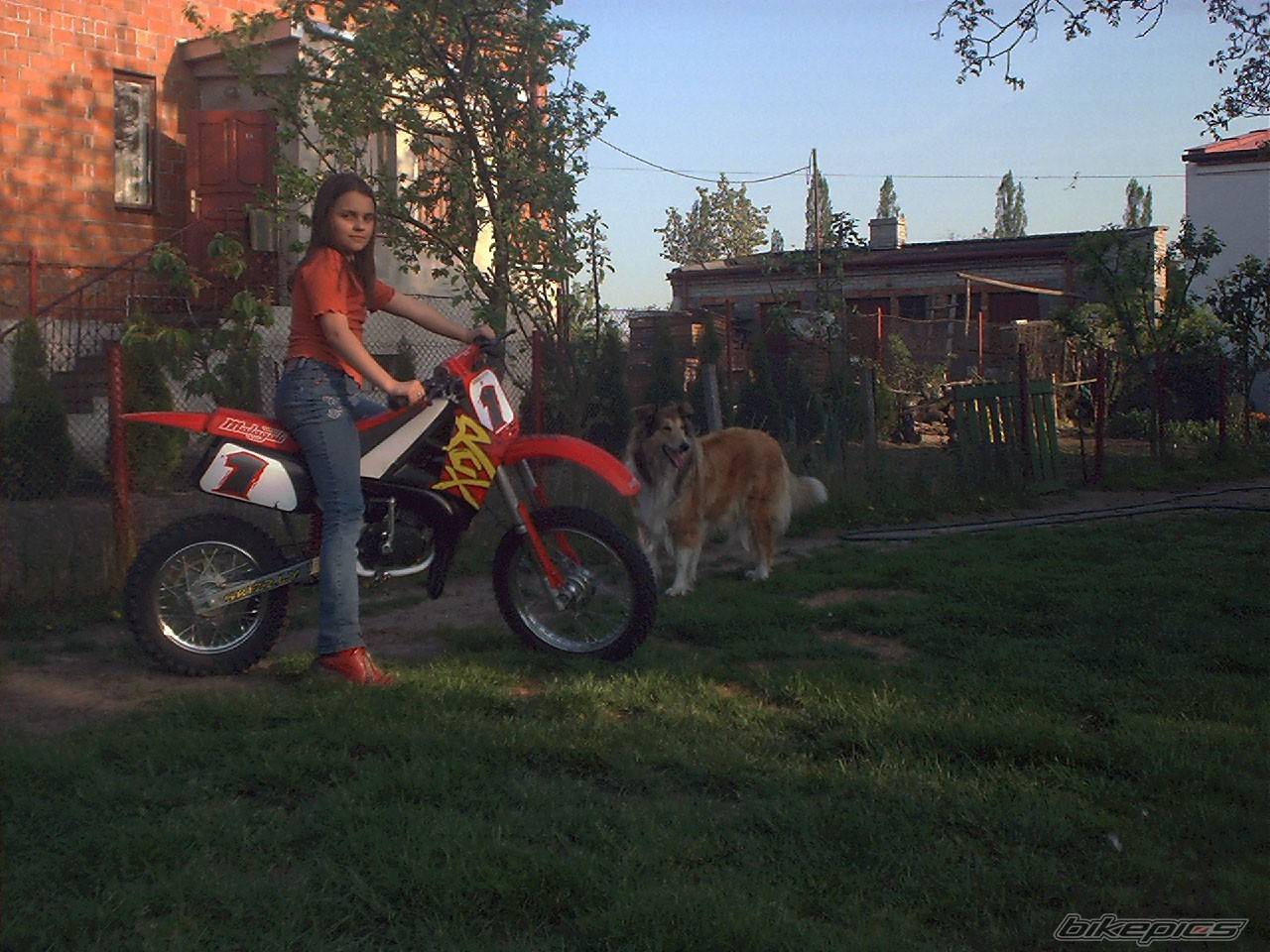 Photo 135466