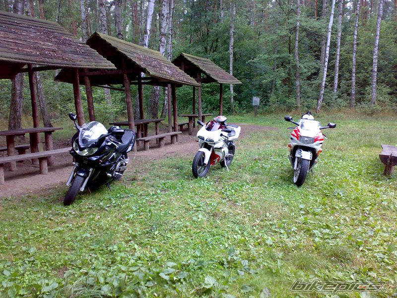 Photo 1354678