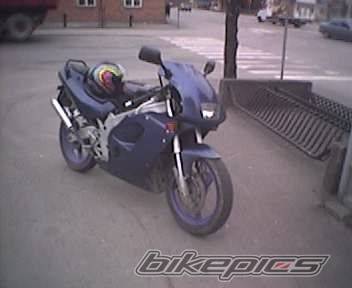 Photo 135471