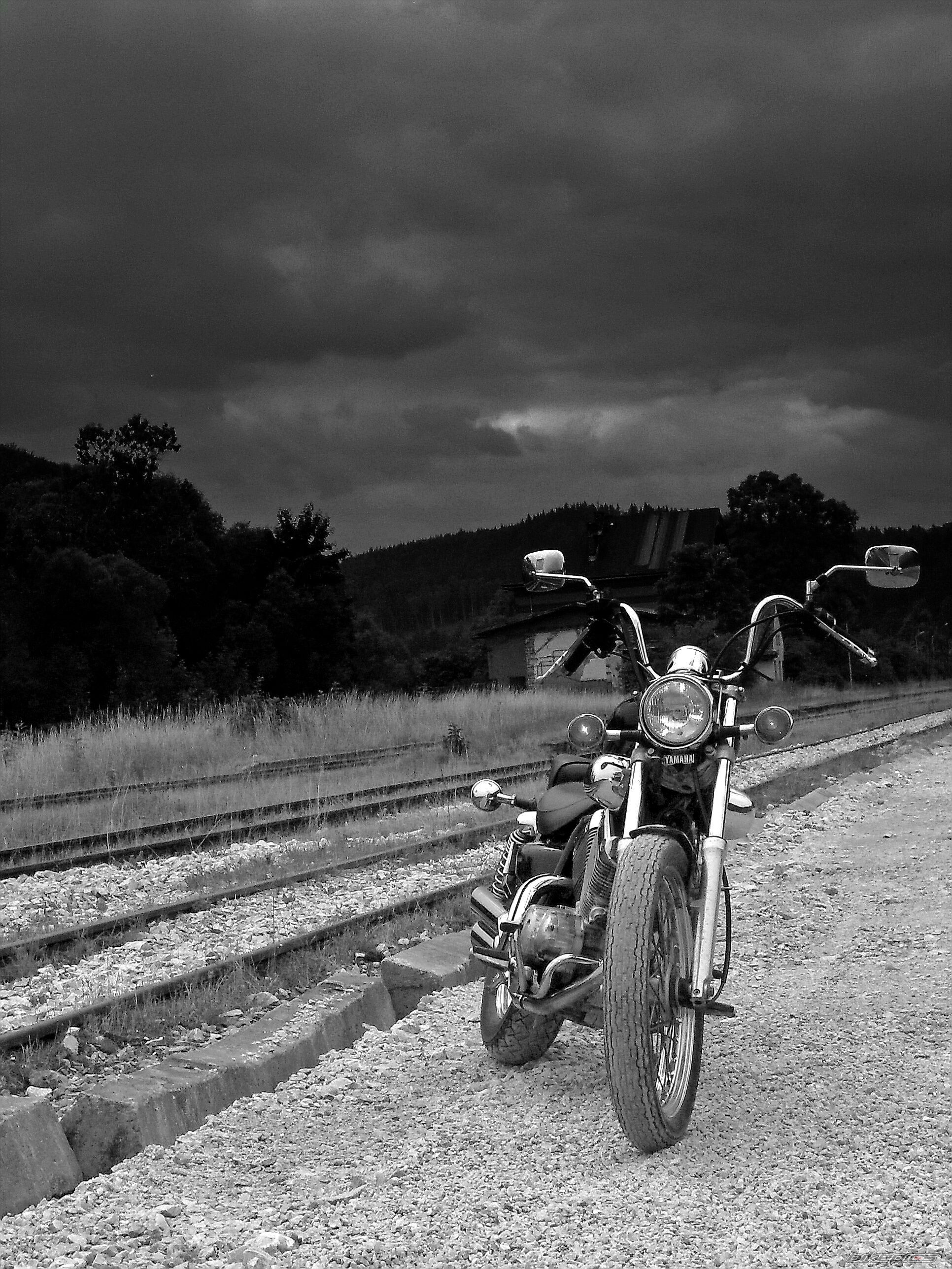 Photo 1354740