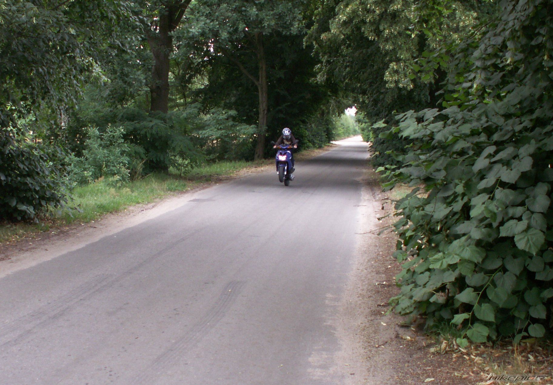 Bike Photo 1354813