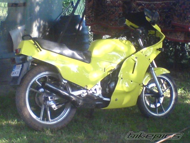 Photo 1354822