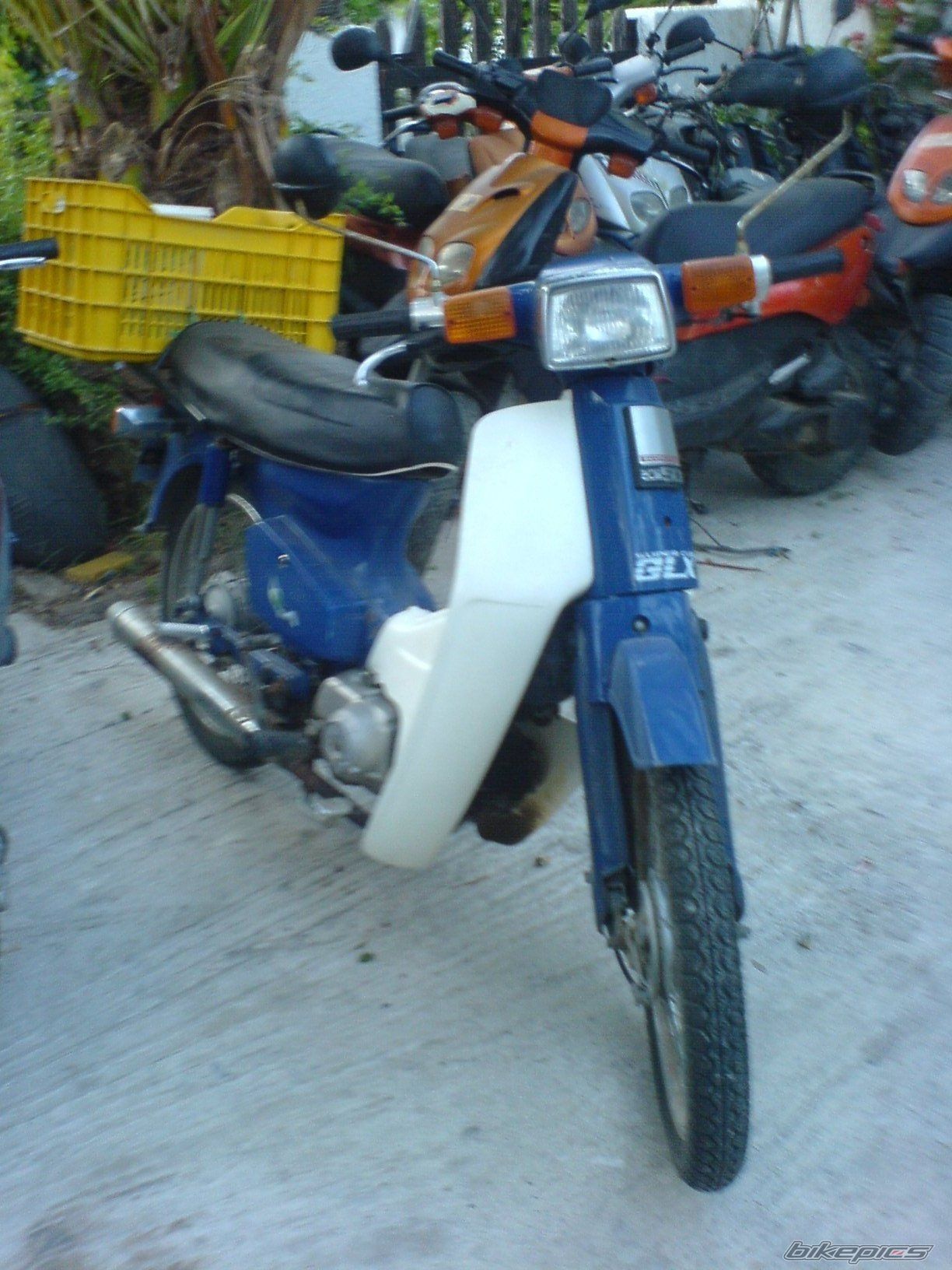 Photo 1355046