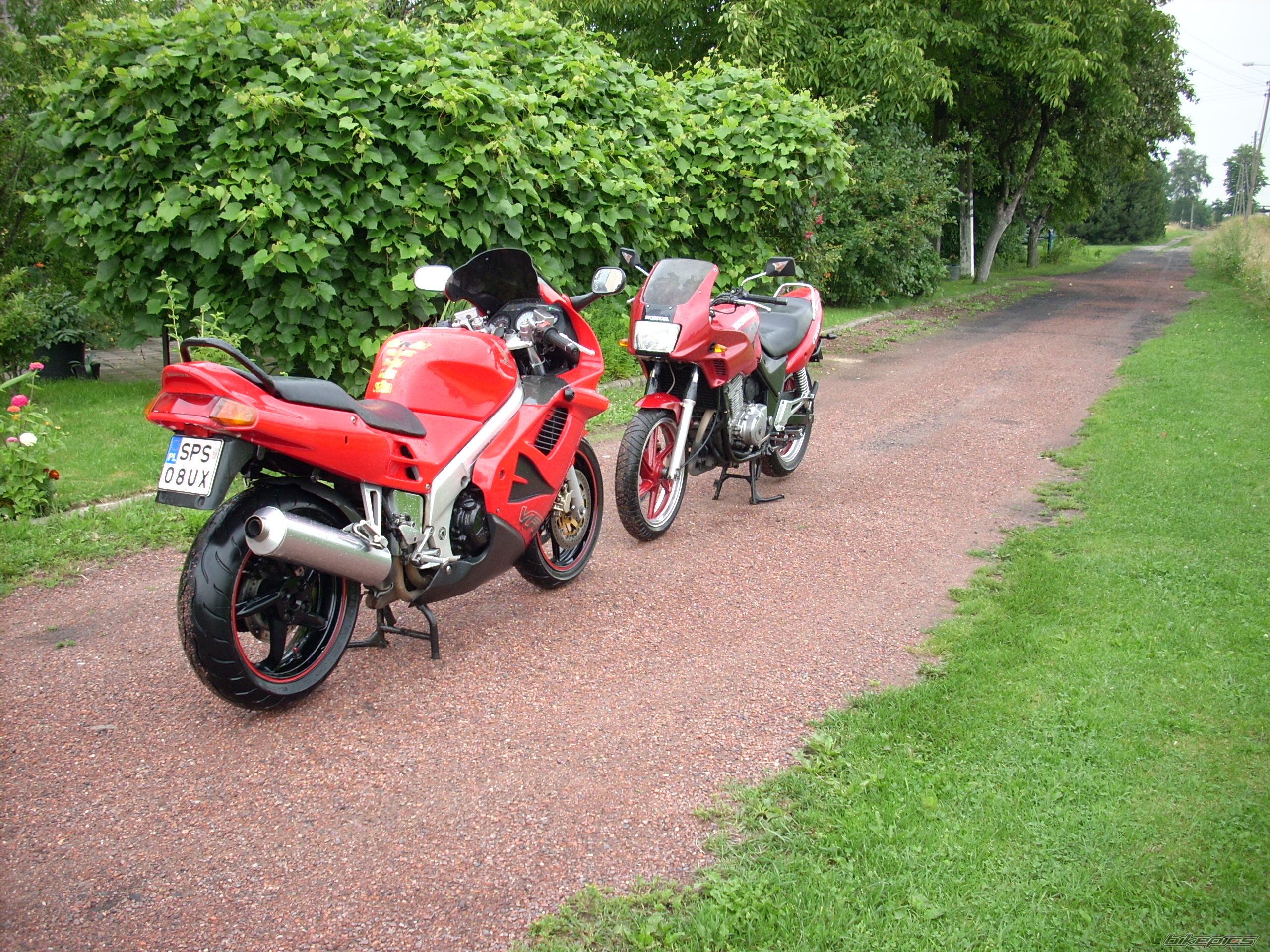 Photo 1355202