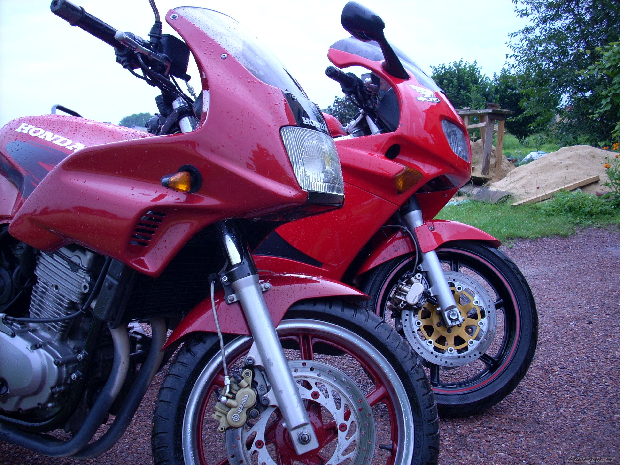 Photo 1355205