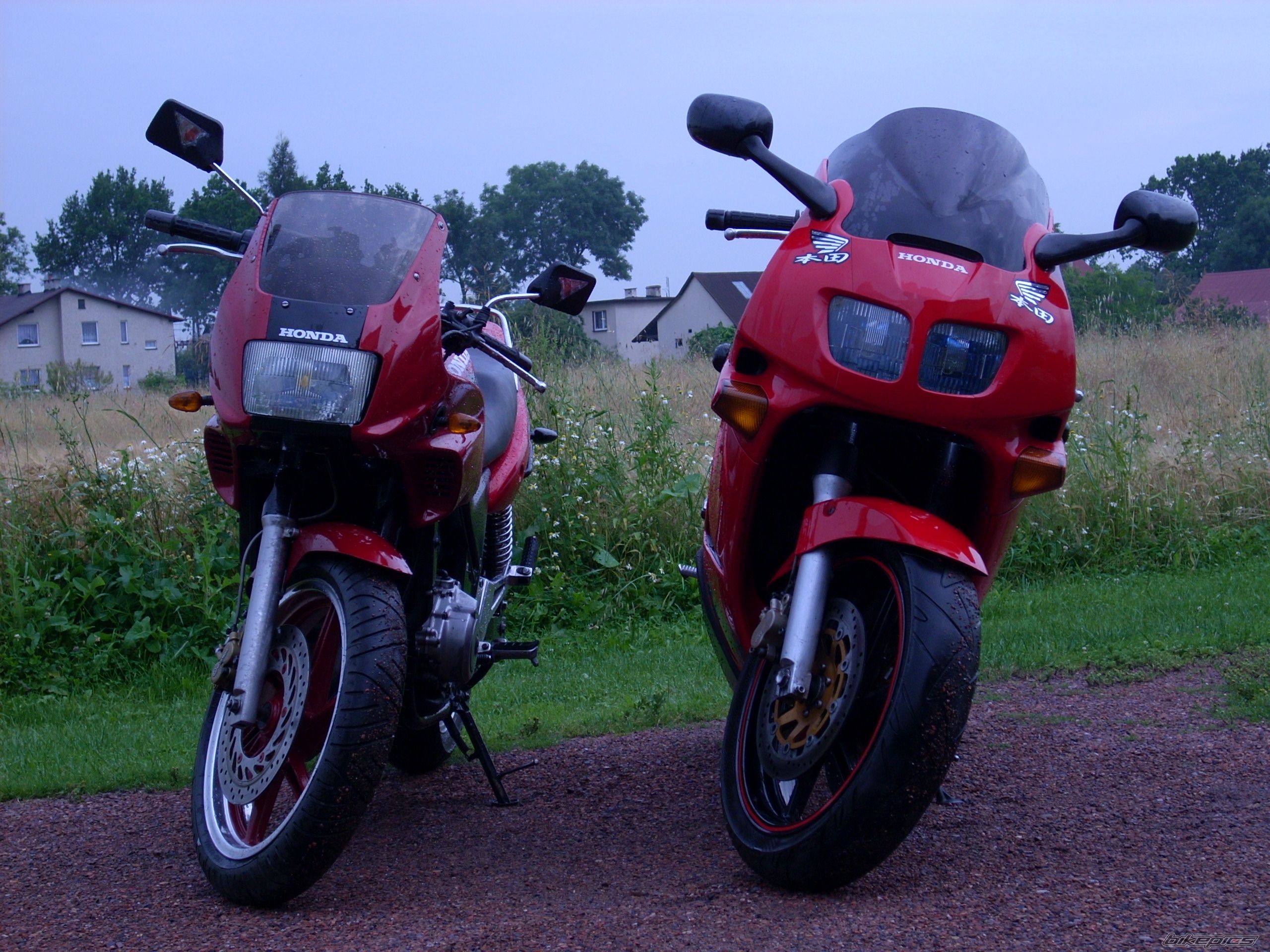 Photo 1355216