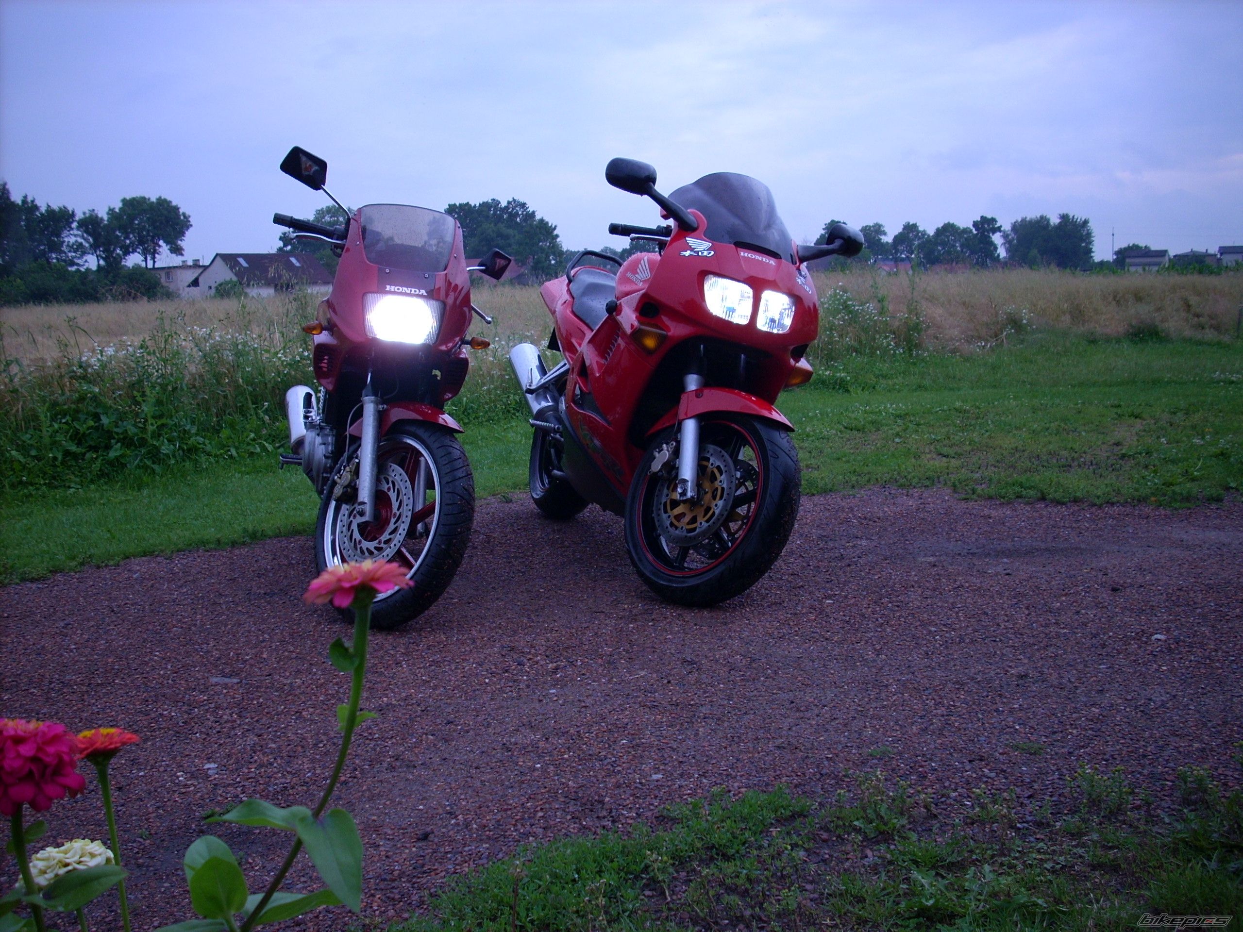 Photo 1355222
